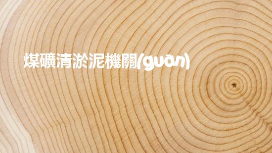 煤礦清淤泥機關(guān)鍵時辰！如何應(yīng)對都市排水系統(tǒng)的征詢題？
